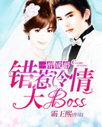 һɻ飺boss